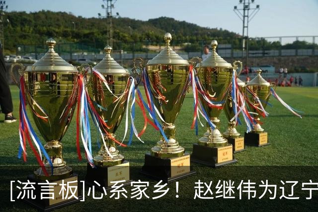 [流言板]心系家乡！赵继伟为辽宁抗洪救灾在行动项目捐款10万元